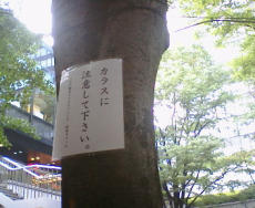 20050809164707-thumb2.jpg